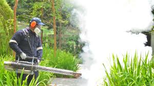 Best Fumigation Services  in La Villa, TX